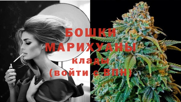 тгк Фёдоровский