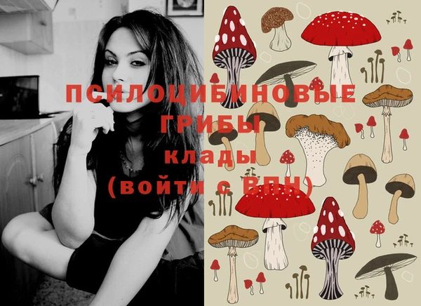метадон Няндома