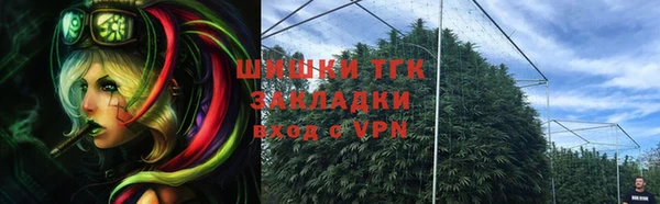 метадон Няндома