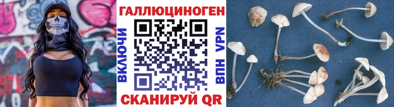 Галлюциногенные грибы MAGIC MUSHROOMS  Белая Холуница 